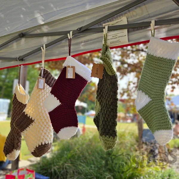 randomized gallery image